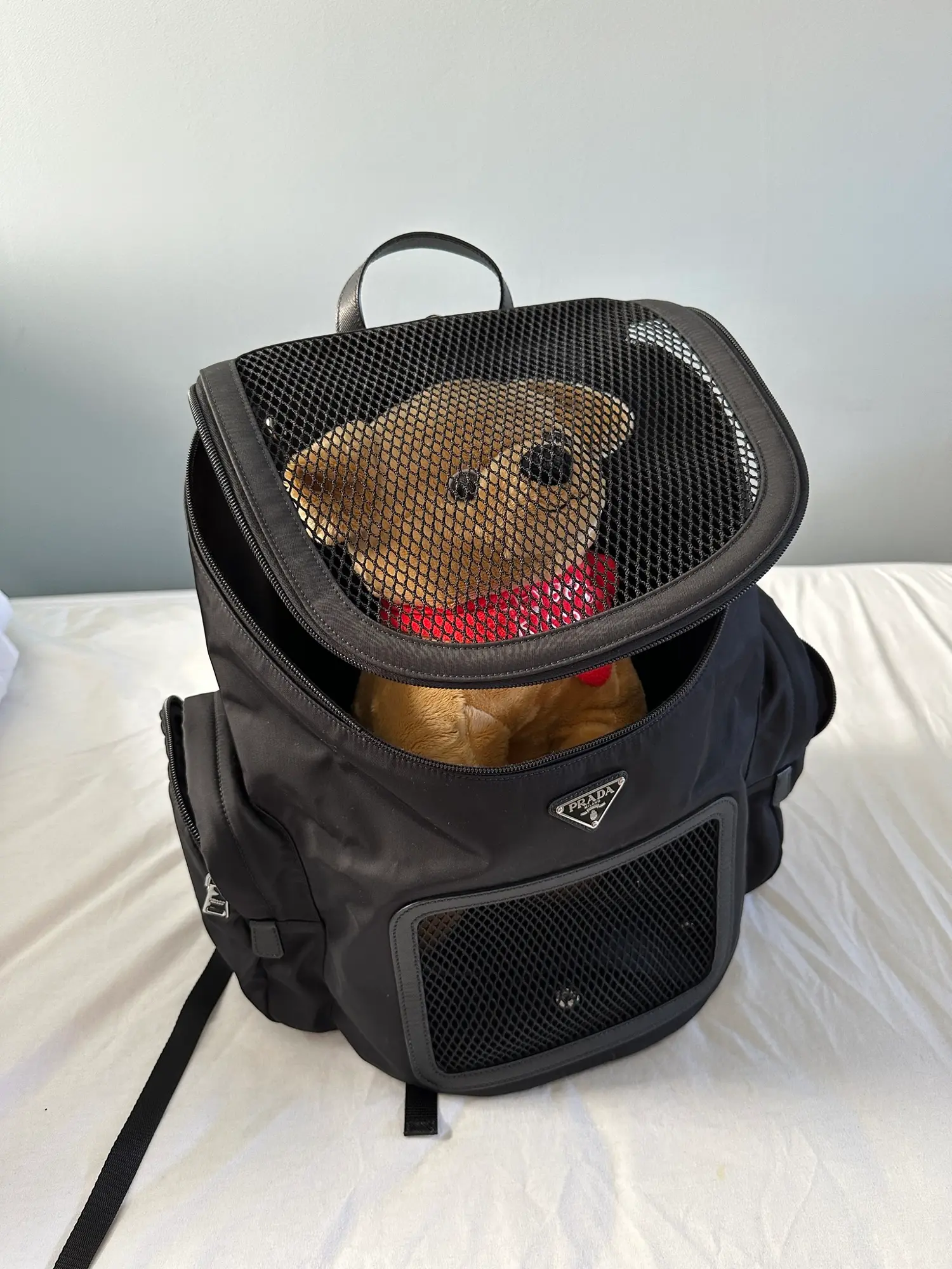 Prada dog backpack hot sale